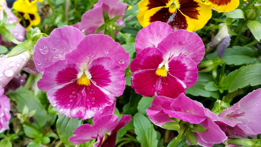1549316 (a): :2560x1440